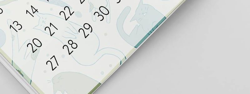 8f163602-e51d-4136-bffa-afe272b26f34.__CR0,15,2700,1670_PT0_SX970_V1___